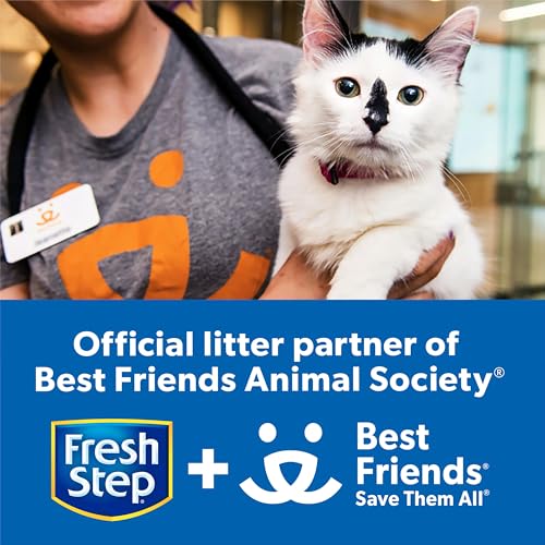 Fresh Step Clumping Cat Litter, Extreme Odor Control, Mountain Spring Scent With Febreze, 14 lbs