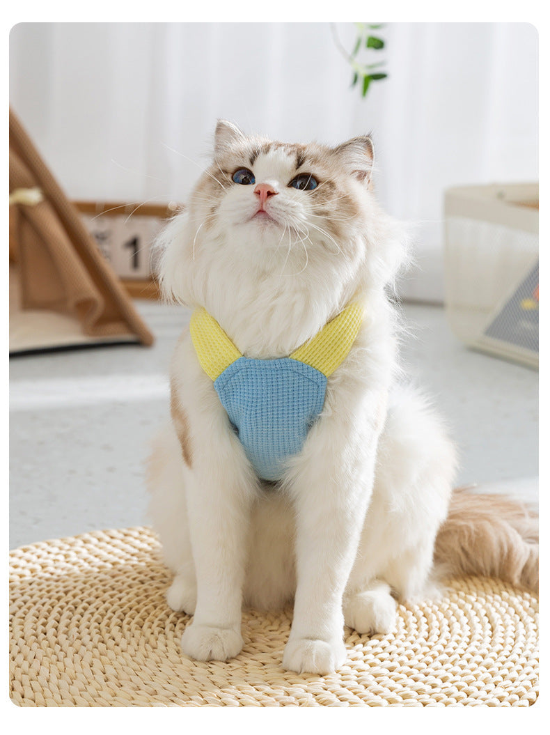 Spring And Summer Cat Macaron Pocket Traction Sling Clothes