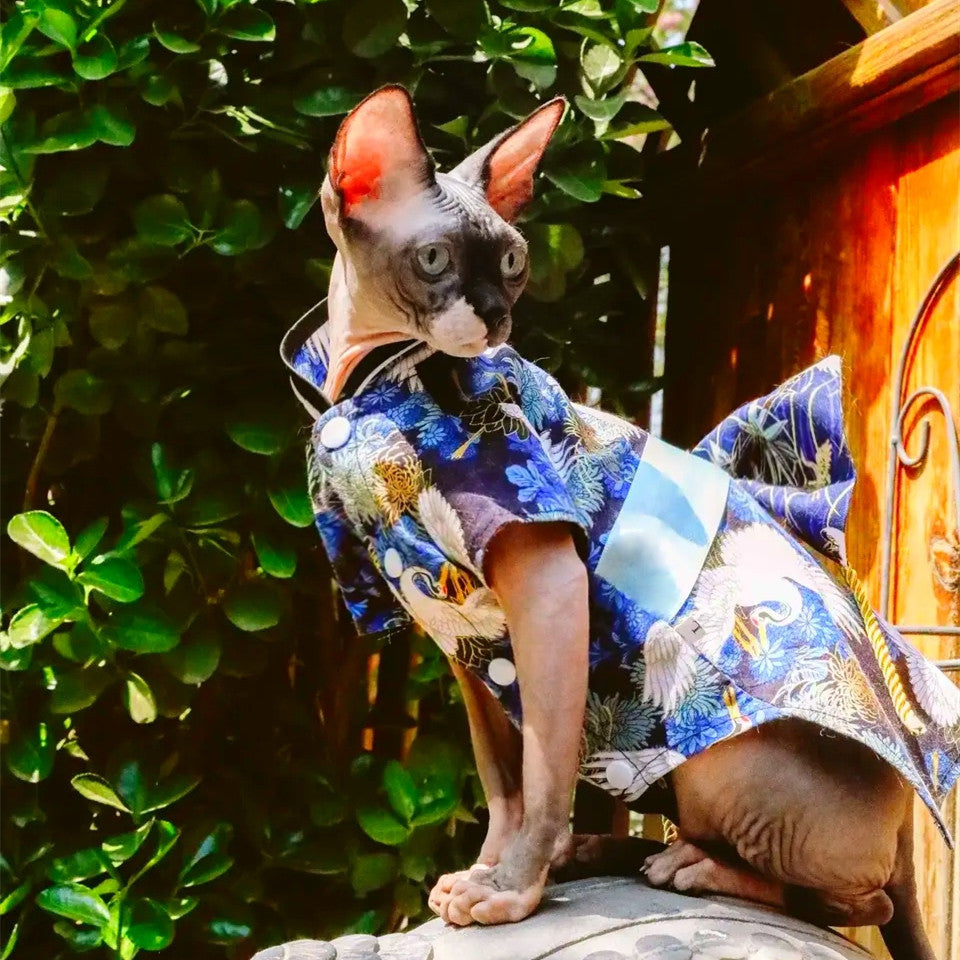 Sphinx Hairless Cat Clothes Kimono New Bow Pendant