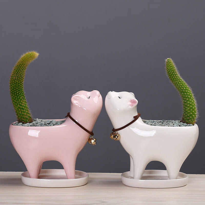 Cat Tail Succulent Cactus Ceramic Flowerpot