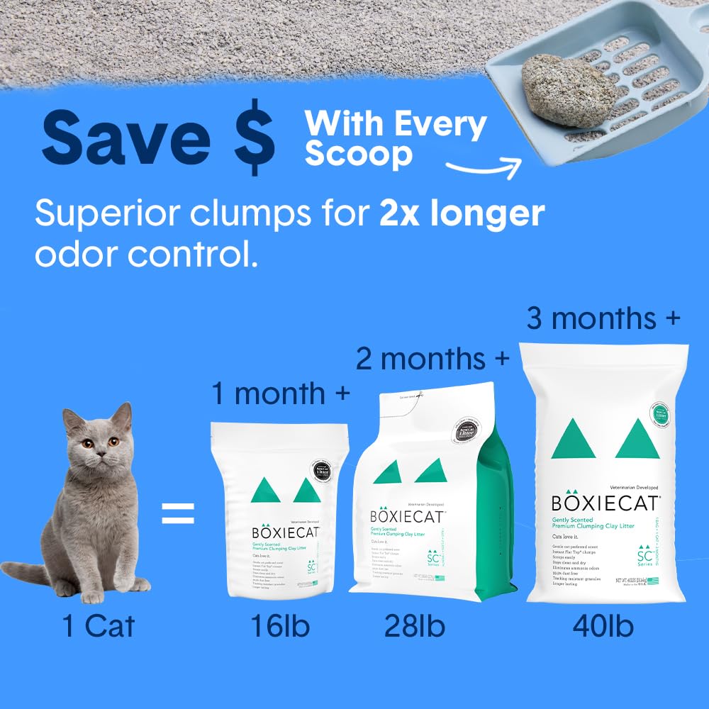 Boxie® Gently Scented 30 Day Natural Odor Control Cat Litter, 32lbs Total Clumping Clay Kitty Litter (2 Pack of 16lb Bags)