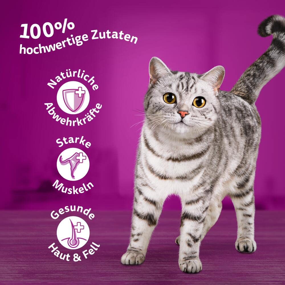 Whiskas 1+ Katzennassfutter Klassische Auswahl in Sauce, 84x85g (1 Großpackung) – Hochwertiges Nassfutter für ausgewachsene Katzen in 84 Portionsbeuteln