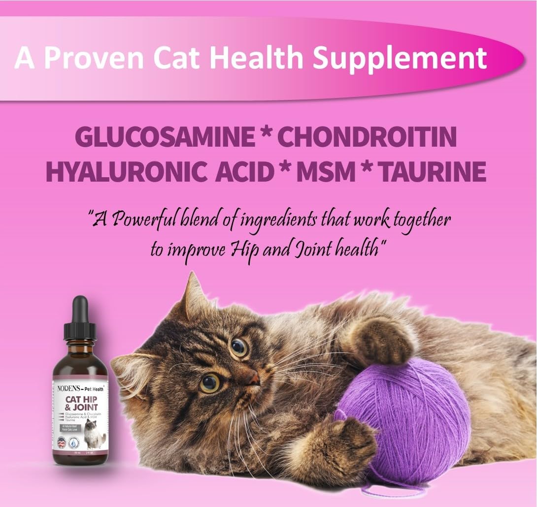 NODENS CAT Hip and Joint Glucosamine for Cats with Chondroitin - Cat Pain Relief from Inflammation - Cat Joint Supplement for Improved Joint Flexibility - Natural Liquid cat Health Supplies 59ml