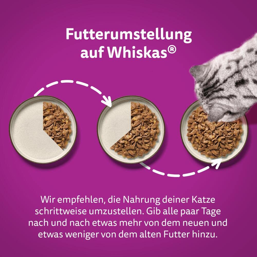 Whiskas 1+ Katzennassfutter Ragout Geflügel Auswahl in Gelee, 40x85g (1 Packung) – Hochwertiges Nassfutter für ausgewachsene Katzen in 40 Portionsbeuteln