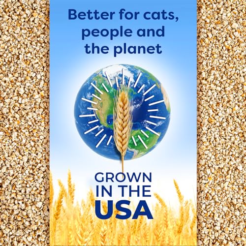 sWheat Scoop Natural Wheat Cat Litter, Original, Fast Clumping with Odor Neutralizing Enzymes, 25 Pound Bag