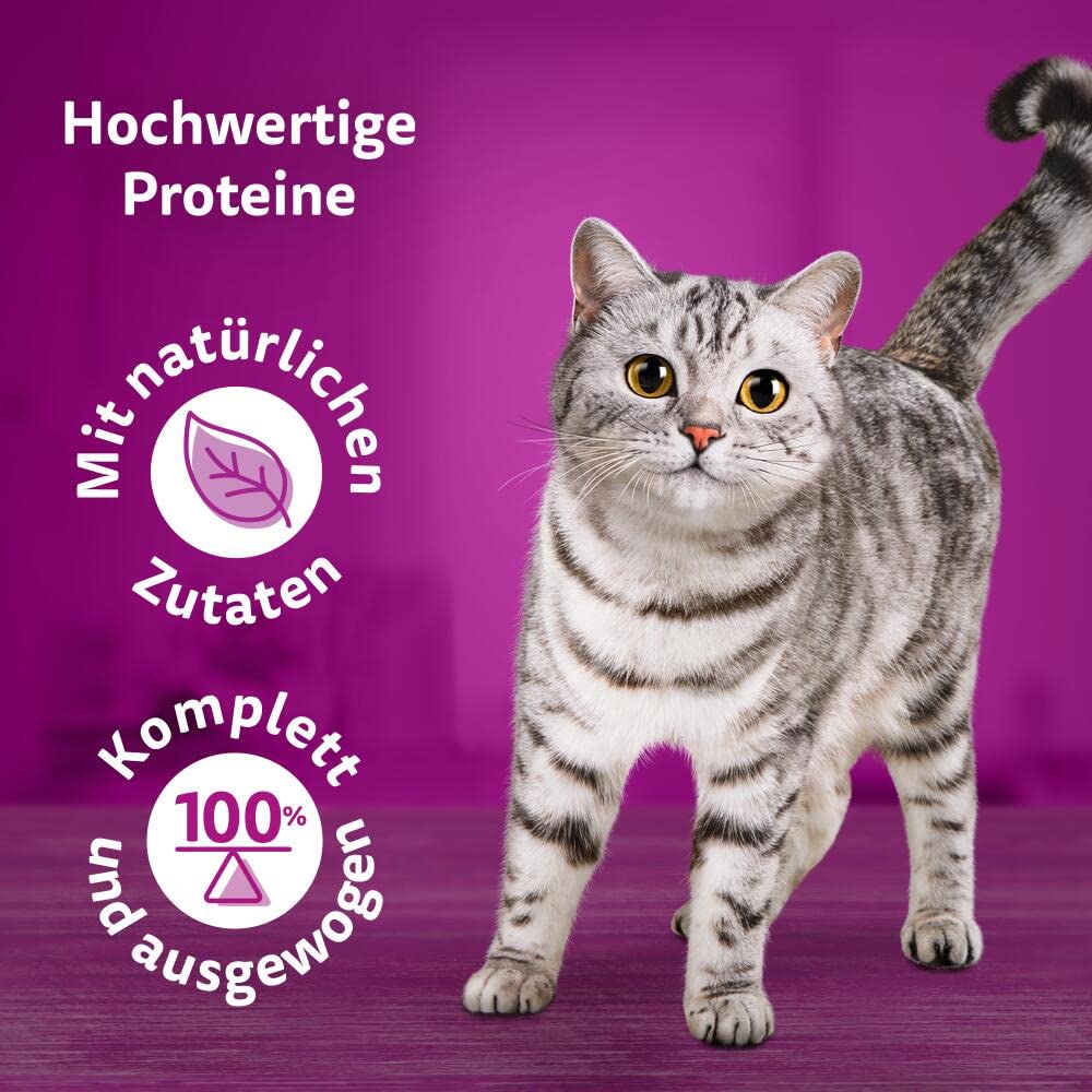 Whiskas 1+ Katzennassfutter Ragout Geflügel Auswahl in Gelee, 40x85g (1 Packung) – Hochwertiges Nassfutter für ausgewachsene Katzen in 40 Portionsbeuteln