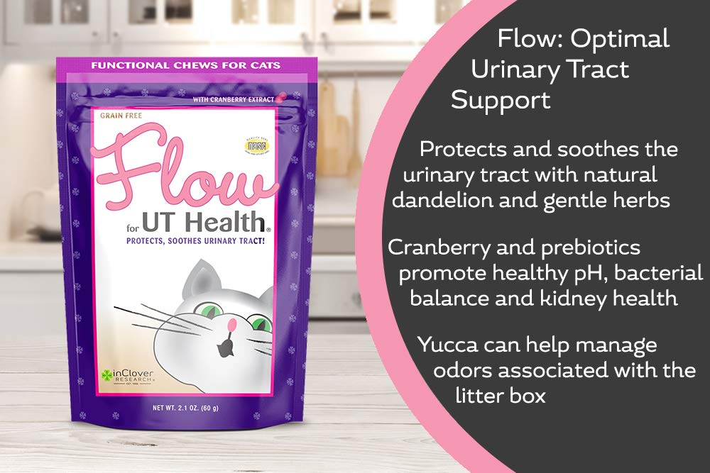 In Clover Flow Soft Chews for Daily Support for UT Health in Cats, Scientifically Formulated with Natural Ingredients for a Healthy Urinary Tract. 2.1oz. (60gm)