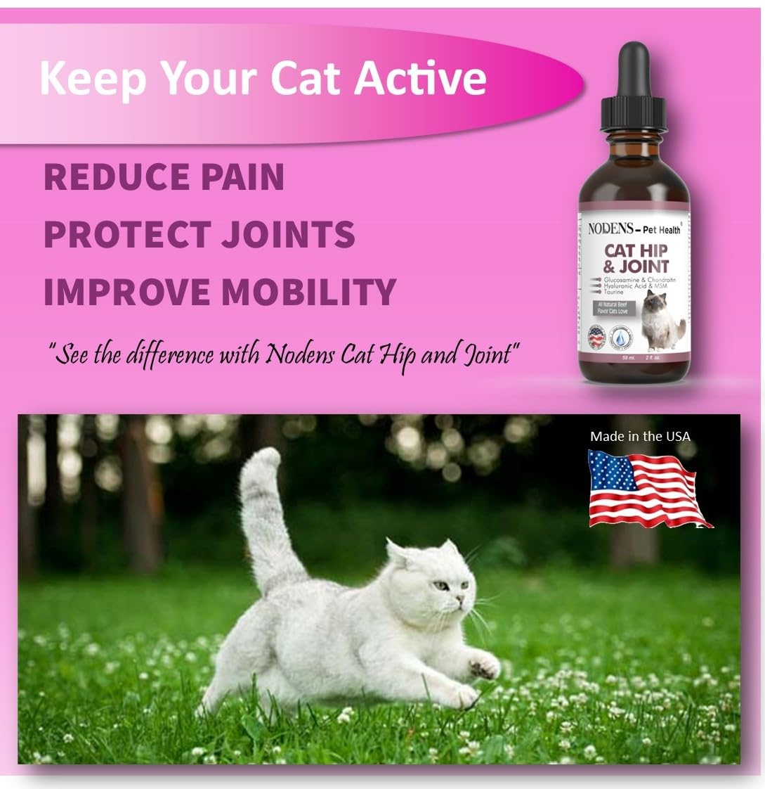 NODENS CAT Hip and Joint Glucosamine for Cats with Chondroitin - Cat Pain Relief from Inflammation - Cat Joint Supplement for Improved Joint Flexibility - Natural Liquid cat Health Supplies 59ml