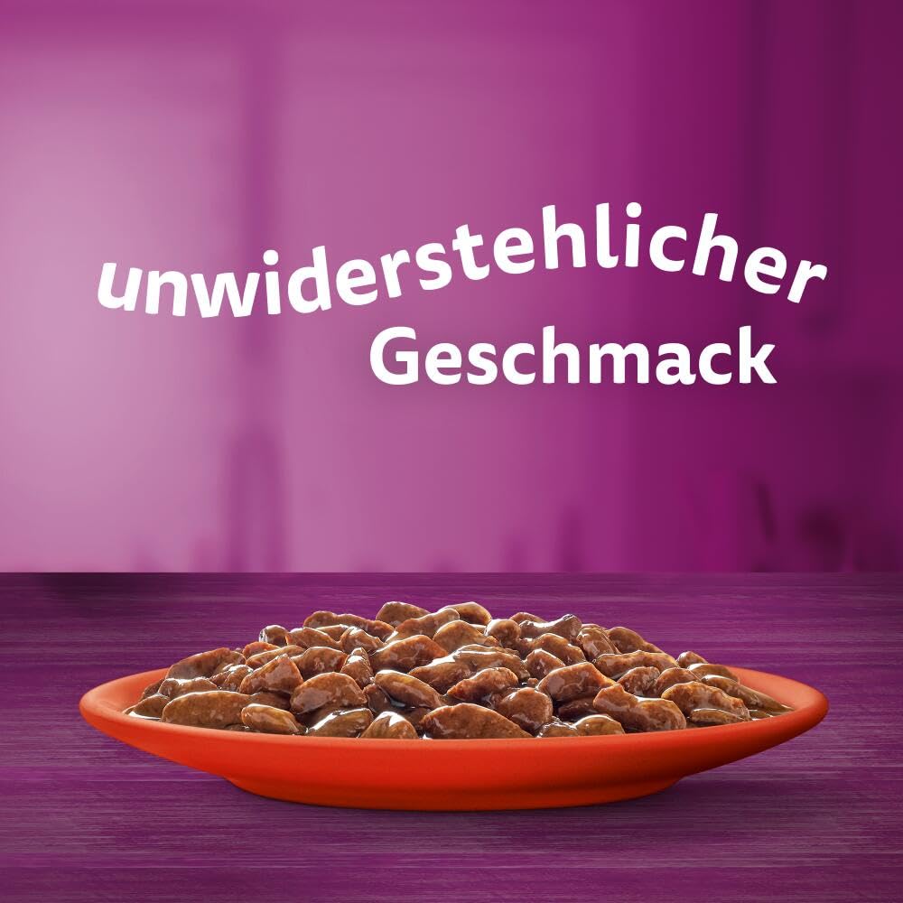 Whiskas 1+ Katzennassfutter Klassische Auswahl in Sauce, 84x85g (1 Großpackung) – Hochwertiges Nassfutter für ausgewachsene Katzen in 84 Portionsbeuteln