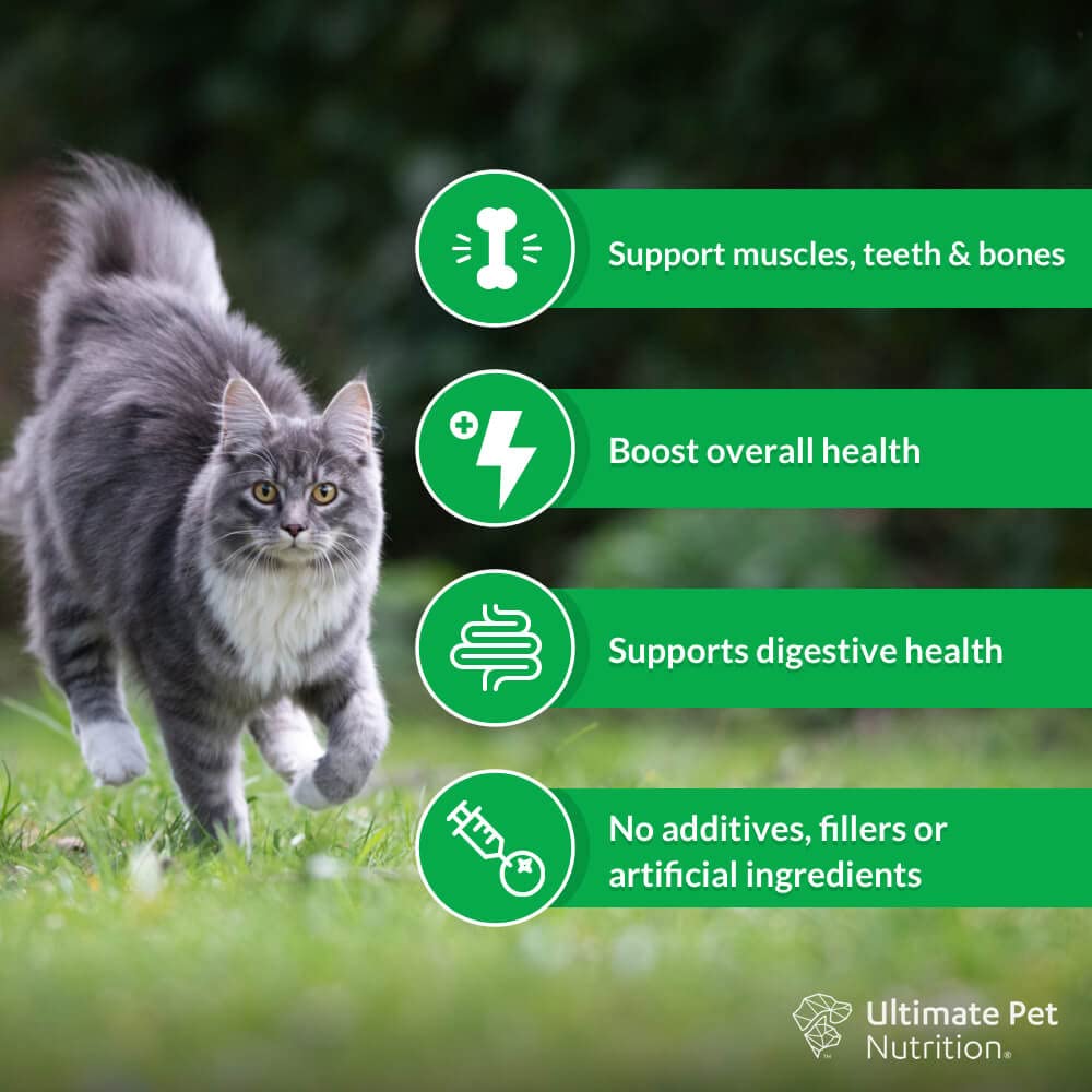 ULTIMATE PET NUTRITION Nutra Thrive™ Cat 40 in 1 Nutritional Supplement for Cats, Vitamins, Minerals, Probiotics, Enzymes, Antioxidants and Superfoods Blend, 30 Servings