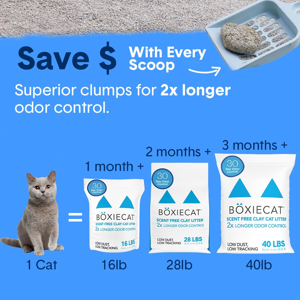 Boxie® Unscented 30 Day Natural Odor Control Cat Litter, 16lb Clumping Clay Kitty Litter