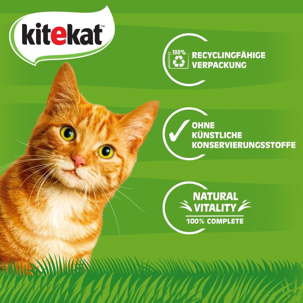 Kitekat Katzenfutter Nassfutter Markt-Mix in Gelee – Feuchtfutter in 48 Portionsbeuteln – 2er Pack (2 x 24 Portionsbeutel à 85g)