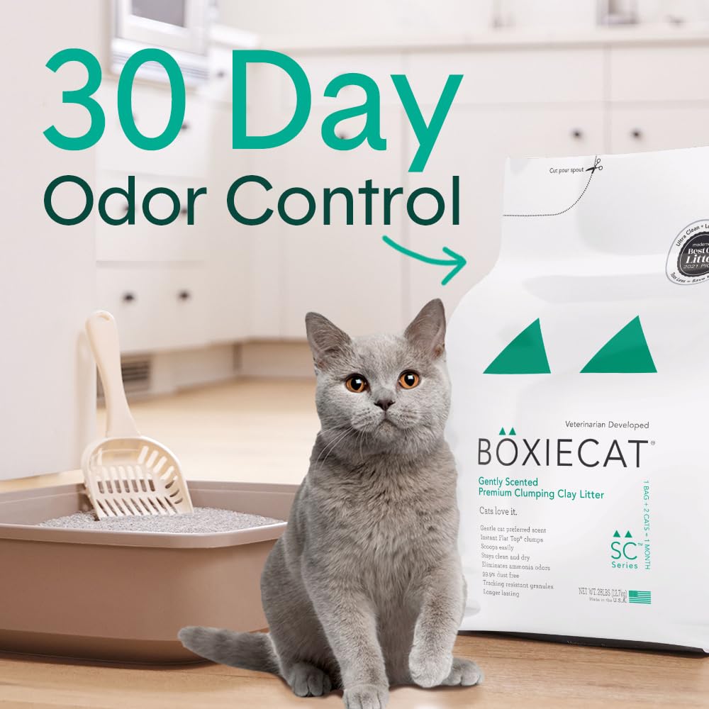 Boxie® Gently Scented 30 Day Natural Odor Control Cat Litter, 32lbs Total Clumping Clay Kitty Litter (2 Pack of 16lb Bags)