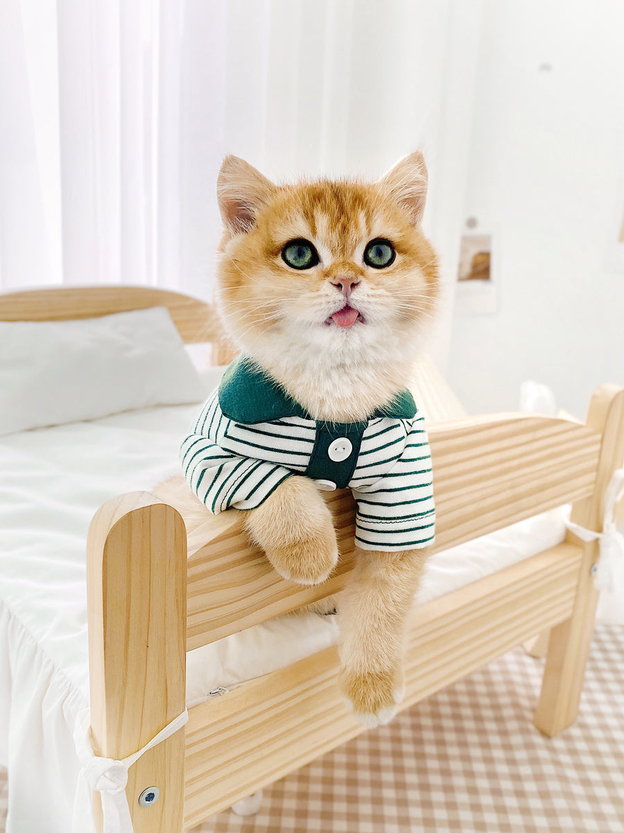 Cute Striped Polo Shirt Cat Clothes