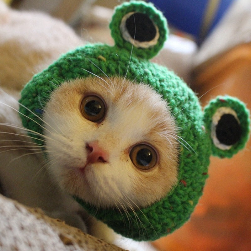 Cat Frog Styling Decorative Cap Casual Cotton Cap Pet Products Handmade Costume Festive Party Head Ornament