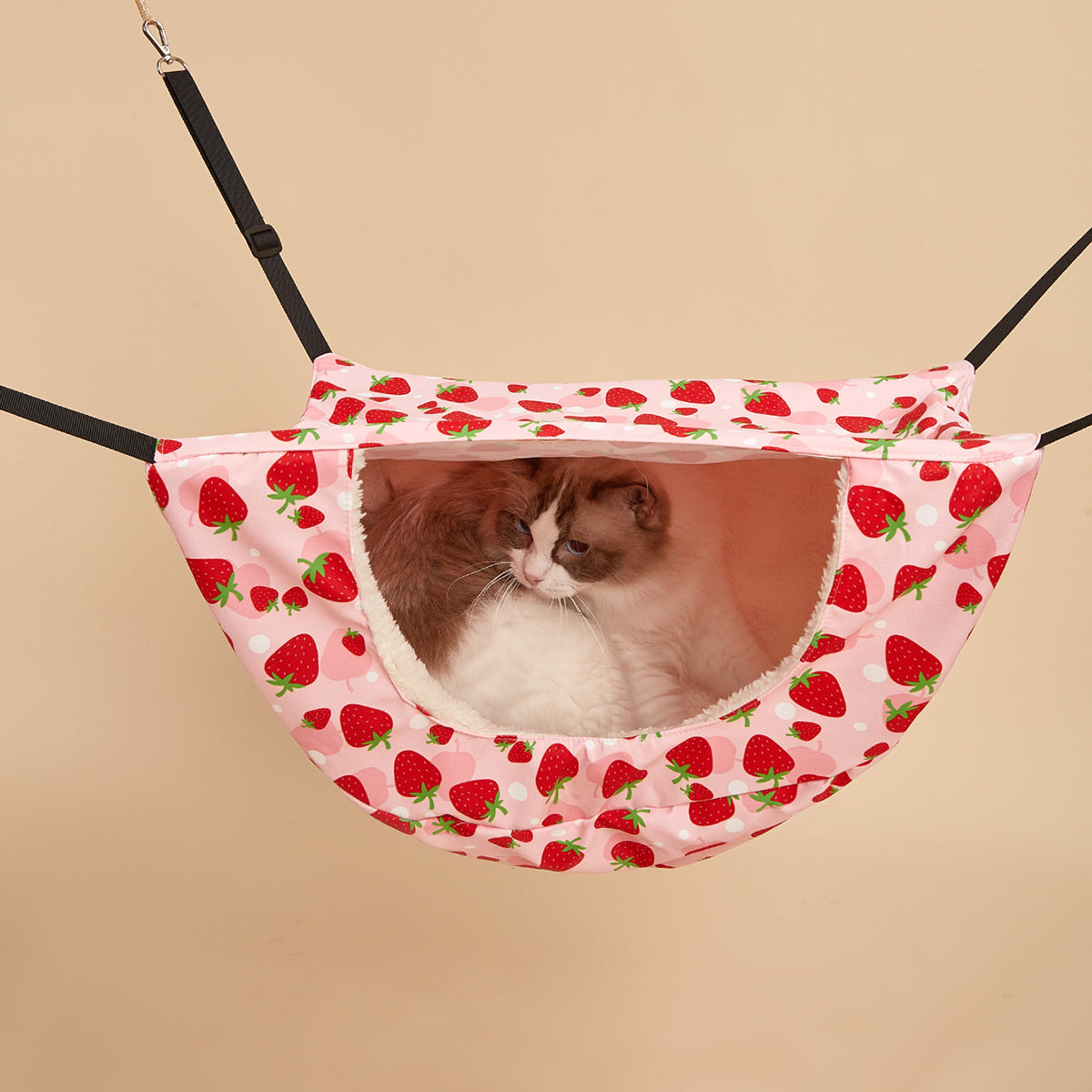 Pet Hammock Wall Dual-Use Toys Leisure Life Wear Resistant Nest Double-Layer New Cat Wall Hanging Cat Indoor Hanging