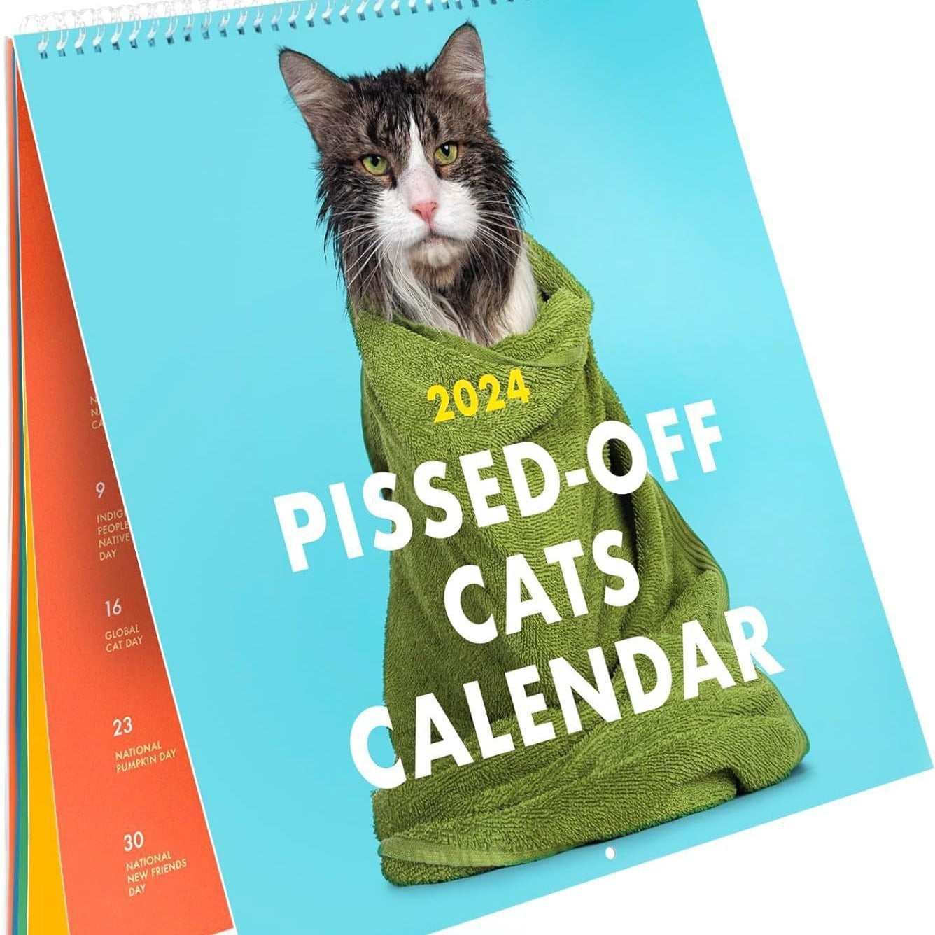 New Angry Cat Wall Mounted Calendar