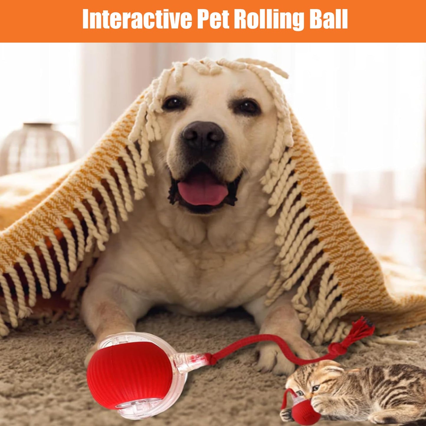 New Design 360° Smart Automatic Interactive Cat Smart Ball Toy Interactive Cat Toys Rolling Ball with USB Charger