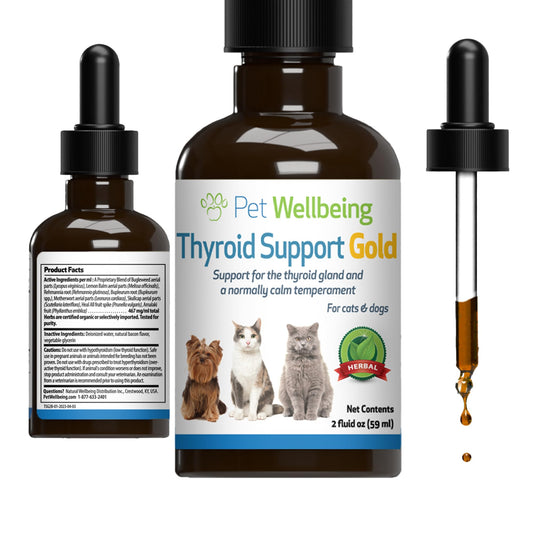 Pet Wellbeing Thyroid Support Gold for Cats - Supports Healthy Thyroid Gland Function in Cats, Normal Metabolism, Bugleweed, Lemon Balm - Veterinarian-Formulated Herbal Supplement 2 fl oz (59 ml)