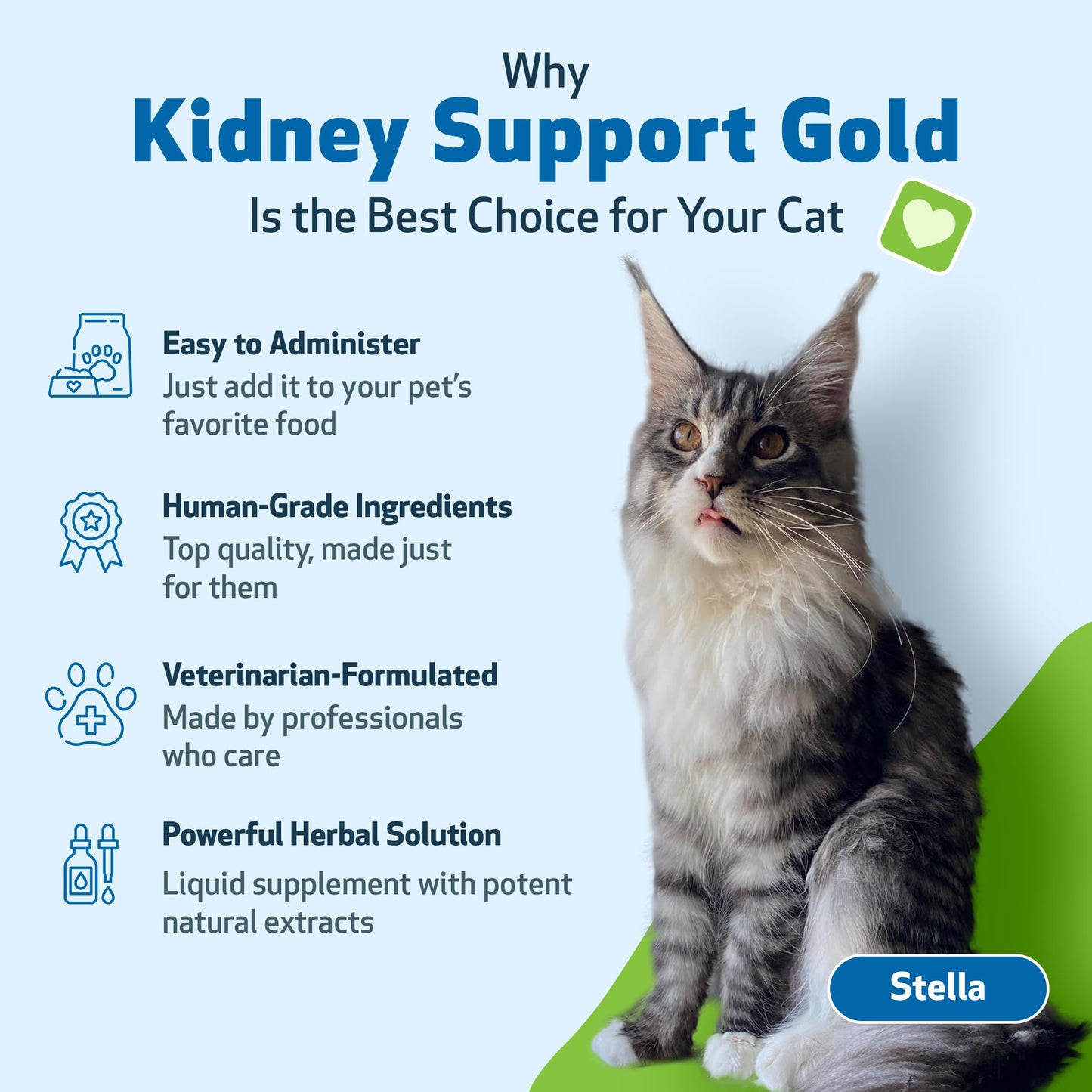 Pet Wellbeing Kidney Support Gold for Cats - Supports Healthy Kidney Function, Fluid Balance, Energy Levels, Rehmannia, Dong Quai - Veterinarian-Formulated Herbal Supplement 2 oz (59 ml)