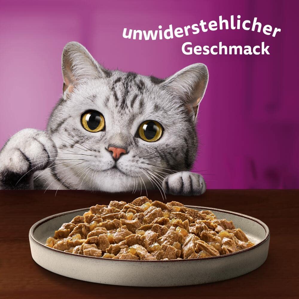 Whiskas 1+ Katzennassfutter Ragout Geflügel Auswahl in Gelee, 40x85g (1 Packung) – Hochwertiges Nassfutter für ausgewachsene Katzen in 40 Portionsbeuteln