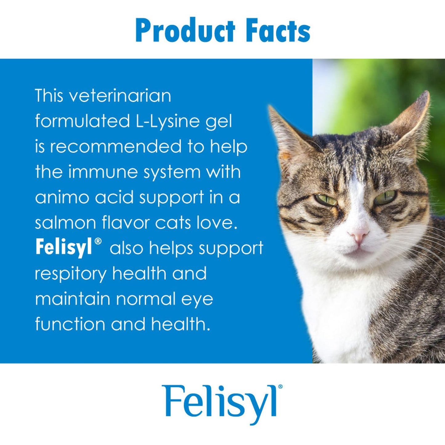 Felisyl L-Lysine Gel for Cats (5oz) – Supports Immune, Respiratory, and Eye Health. Eases Sneezing, Runny Nose, and Watery Eyes. Tasty Salmon Flavor - Made in The USA