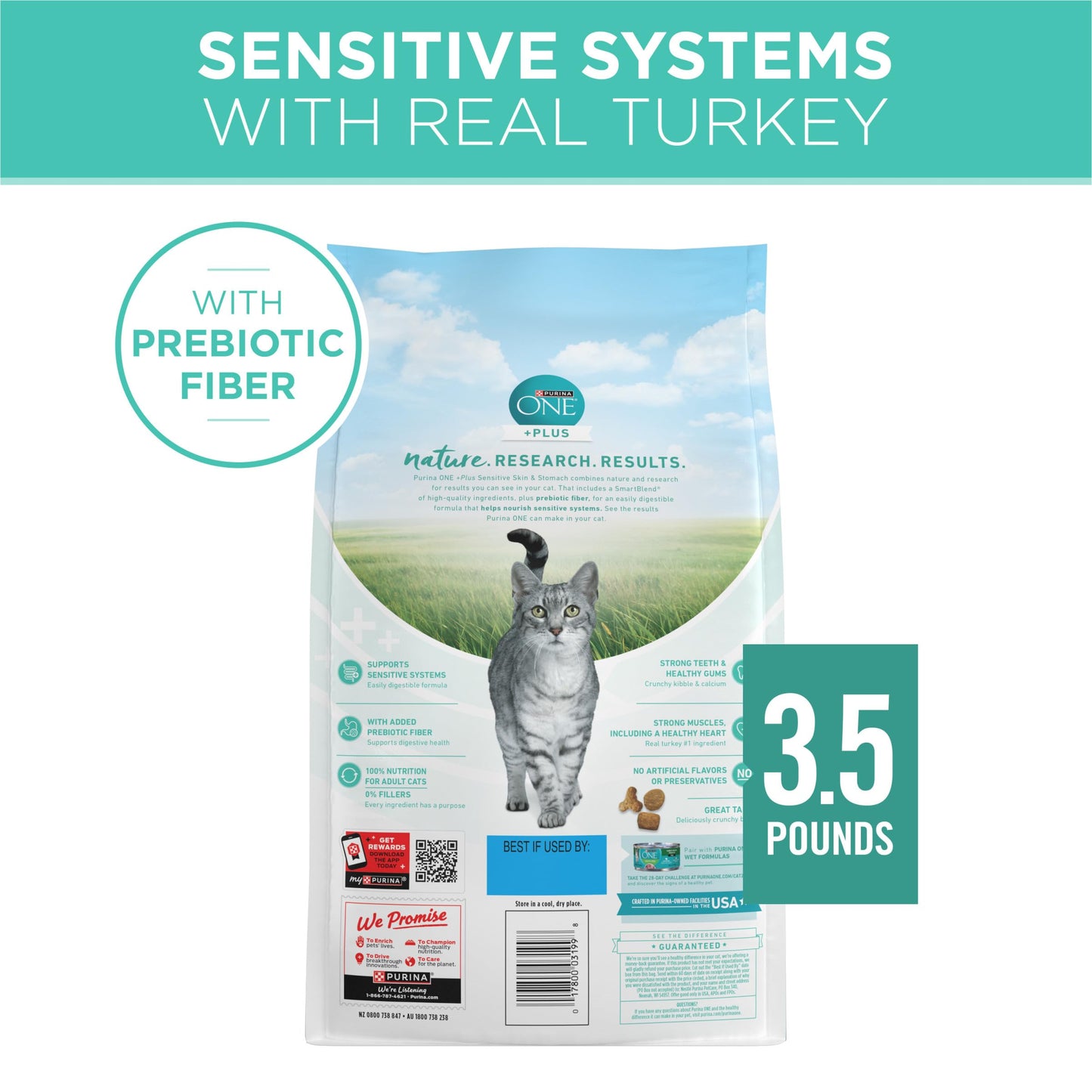 Purina ONE Sensitive Stomach, Sensitive Skin, Natural Dry Cat Food, +Plus Sensitive Skin and Stomach Formula - 3.5 lb. Bag