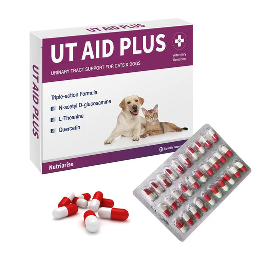 Nutriarise UT AID Plus Feline Idiopathic Cystitis, Cat & Dog Urinary Tract Infection Support, for Treating Incontinence, Bladder Stones, Frequent Urination，Destress, Calm Down- 30 Cap.