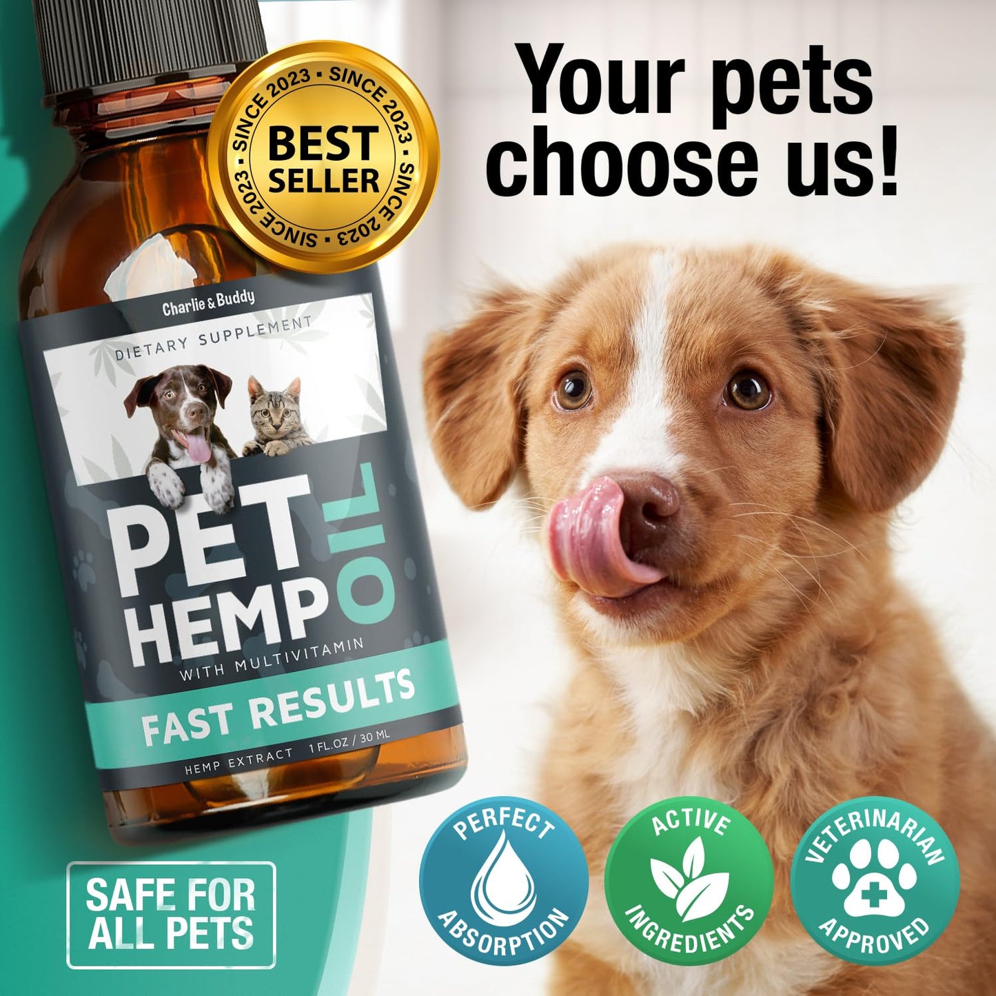 Charlie & Buddy Hemp Оil for Dogs Cats - Helps Pets with Аnxiеty, Pаin, Strеss, Slееp, Аrthritis, Sеizures Rеlief - Нiр Jоint Hеalth - Cаlming Trеats