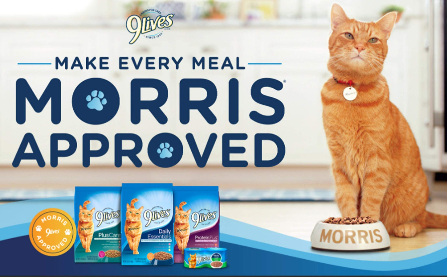 9Lives Paté Favorites Wet Cat Food Variety Pack, 5.5 Ounce (Pack of 12)