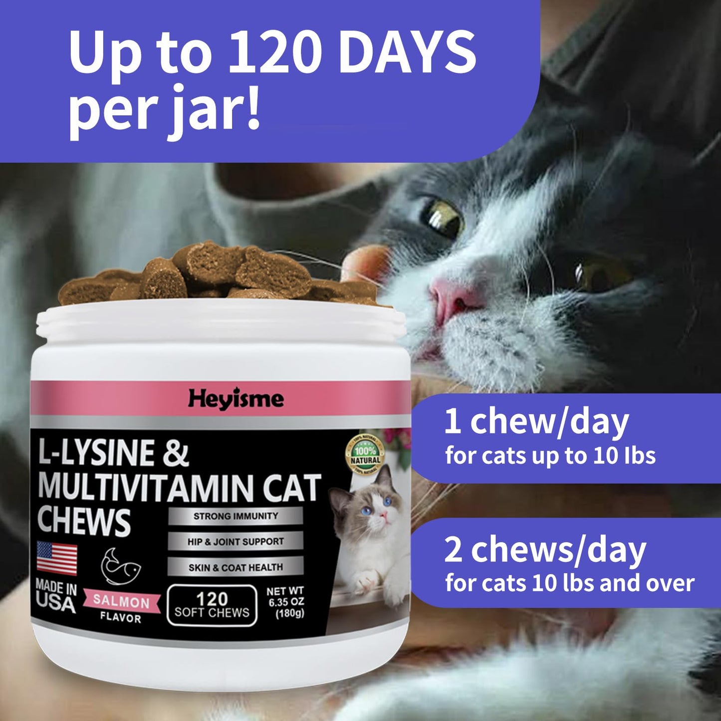 HEYISME Lysine Supplement for Cats, Cat Treats for Sneezing and Runny Nose, Cat Cold, Cat Immune Support, Eye Function, and Respiratory Health, L-Lysine cat Vitamins for Cats (120 Pills, Salmon)