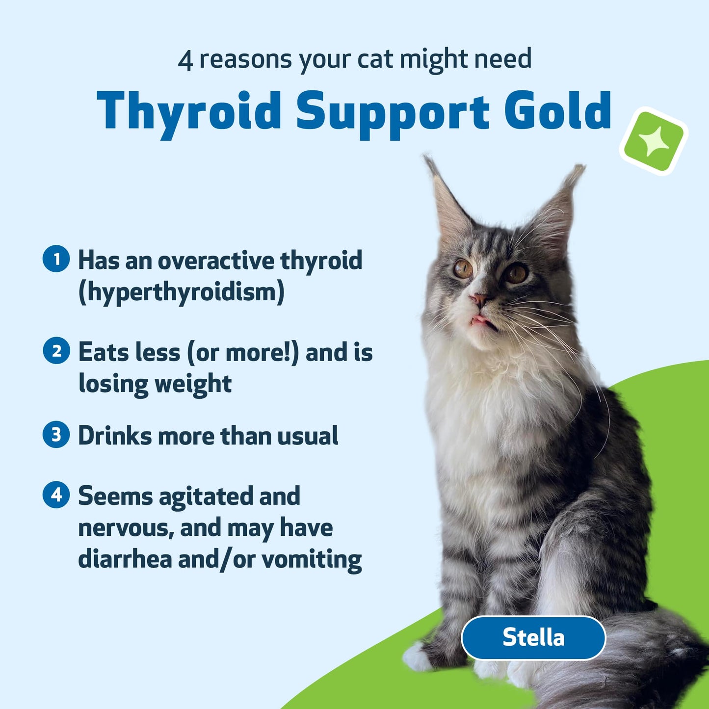 Pet Wellbeing Thyroid Support Gold for Cats - Supports Healthy Thyroid Gland Function in Cats, Normal Metabolism, Bugleweed, Lemon Balm - Veterinarian-Formulated Herbal Supplement 2 fl oz (59 ml)