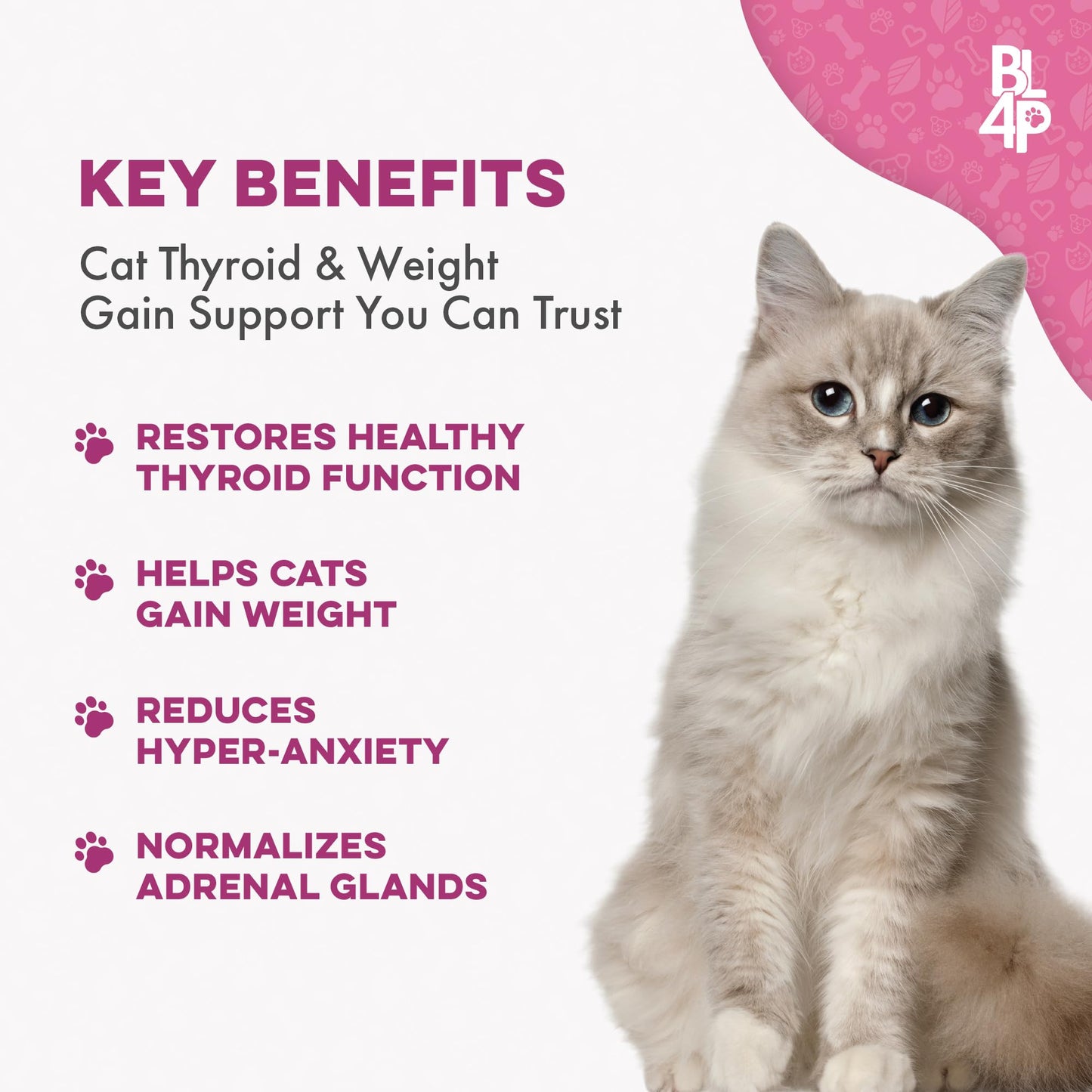 Cat Weight Gain & Hyperthyroidism Treatment, Safe and Effective Cat Appetite Stimulant, Thyroid and Metabolic Support, Weight Management Remedy, 400 All-Natural Odorless, Tasteless Pills