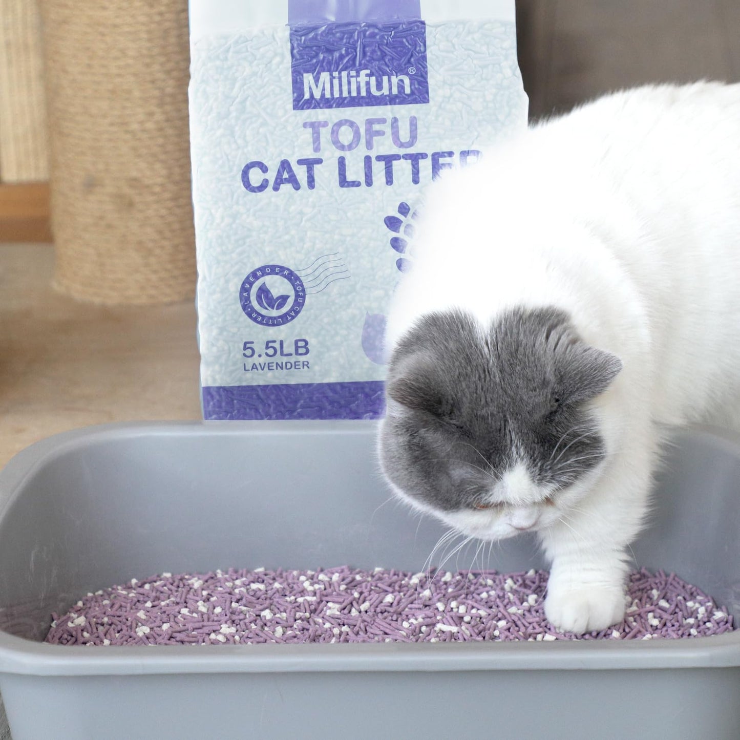 Tofu Cat Litter, Dust-Free Kitty Litter, Fast Drying, Ultra Absorbent Clumping Cat Litter Pellets, Lavender Cat Tofu Litter Odor Control, Less Scattering, Dust-Free Mixed Tofu Cat Litter.