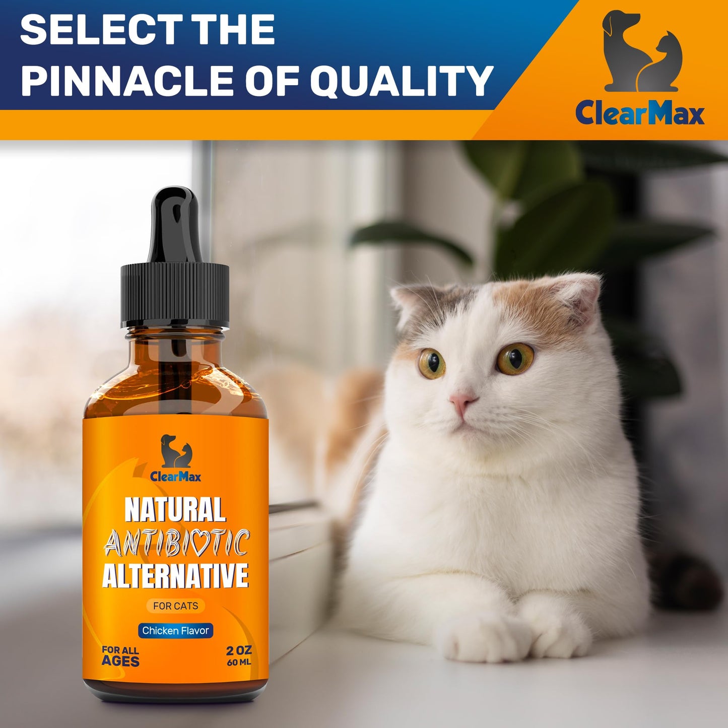 Cat Antibiotics for Infection & UTIs – Antibiotics for Cats to Help with Cough & Allergies – Herbal Supplement with All Natural Ingredients Supports Digestion and Hips & Joints – Chicken Flavor – 2 Oz