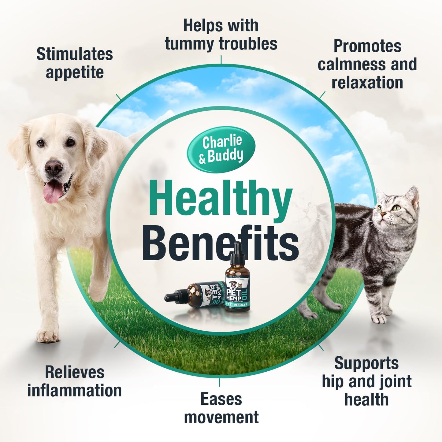 Charlie & Buddy Hemp Оil for Dogs Cats - Helps Pets with Аnxiеty, Pаin, Strеss, Slееp, Аrthritis, Sеizures Rеlief - Нiр Jоint Hеalth - Cаlming Trеats