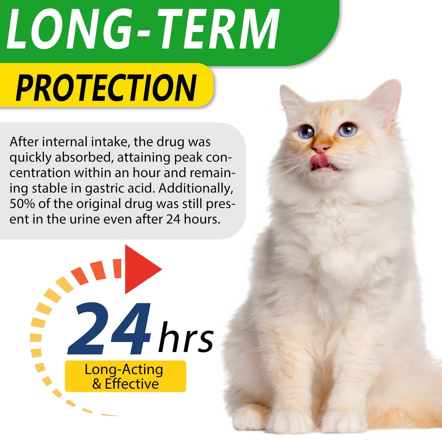 60ml Cat Antibiotics for Infections Antibiotics for Cats Cat Antibiotics Cat Immune Support Supplement Infection Antibiotics Natural Antibiotics for Cats Allergy Relief for Cats (60ml)