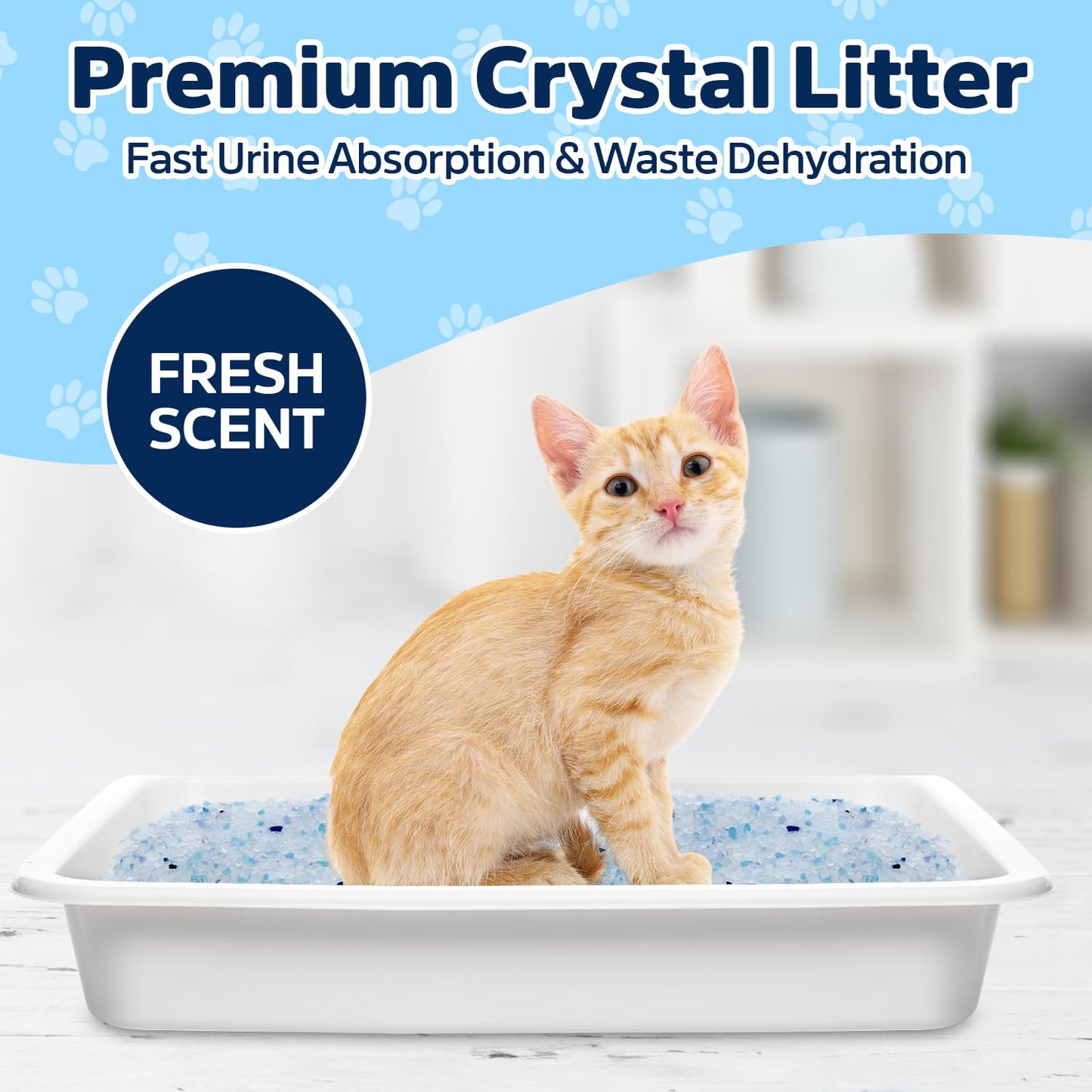 Crystal Cat Litter, Superior Cat Litter Crystals for Odor Control, Perfect for ScoopFree Cat Litter Boxes, 2 Bags of Crystal Litter 4.3LB Each, Total of 8.6LB