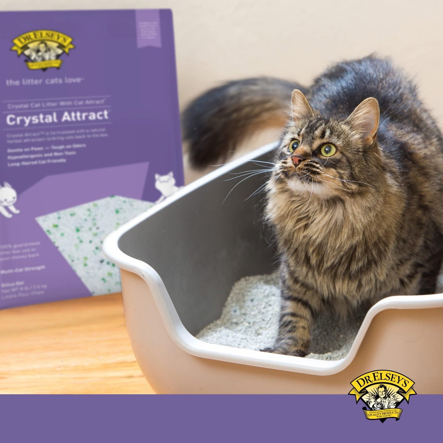 Dr. Elsey's Crystal Attract Silica Cat Litter, 8lbs