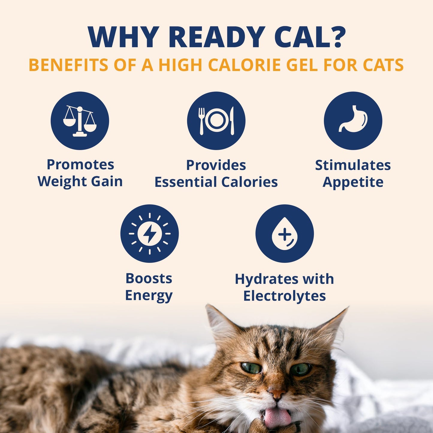 Under the Weather Pet Electrolytes Ready Cal Plus Gel for Cats | Vet-Formulated High-Calorie Supplement for Cats & Kittens | Promotes Weight Gain & Boosts Energy for Sick Cats | 3.5 Oz Tube Pack