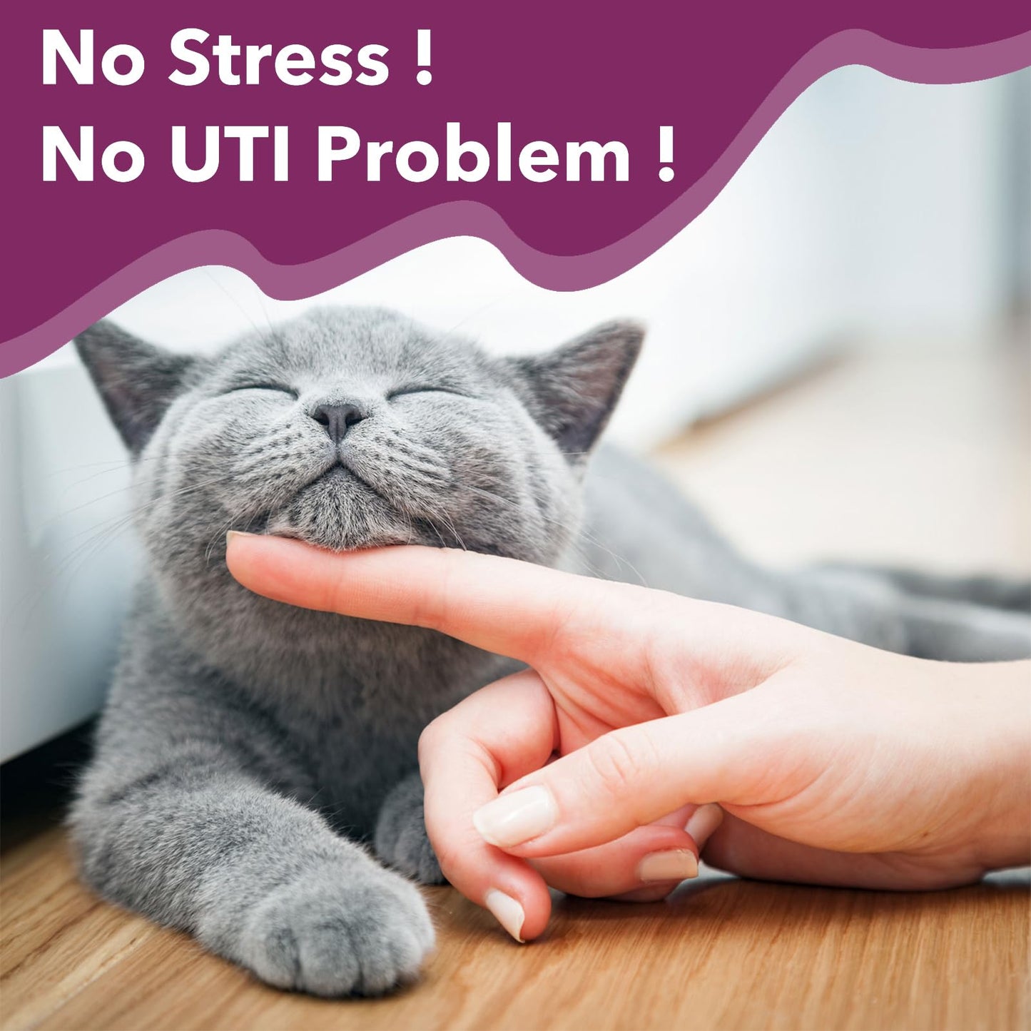 Nutriarise UT AID Plus Feline Idiopathic Cystitis, Cat & Dog Urinary Tract Infection Support, for Treating Incontinence, Bladder Stones, Frequent Urination，Destress, Calm Down- 30 Cap.