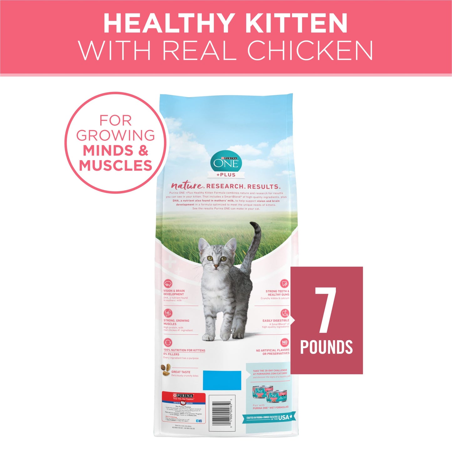 Purina ONE High Protein, Natural Dry Kitten Food, +Plus Healthy Kitten Formula - 7 lb. Bag