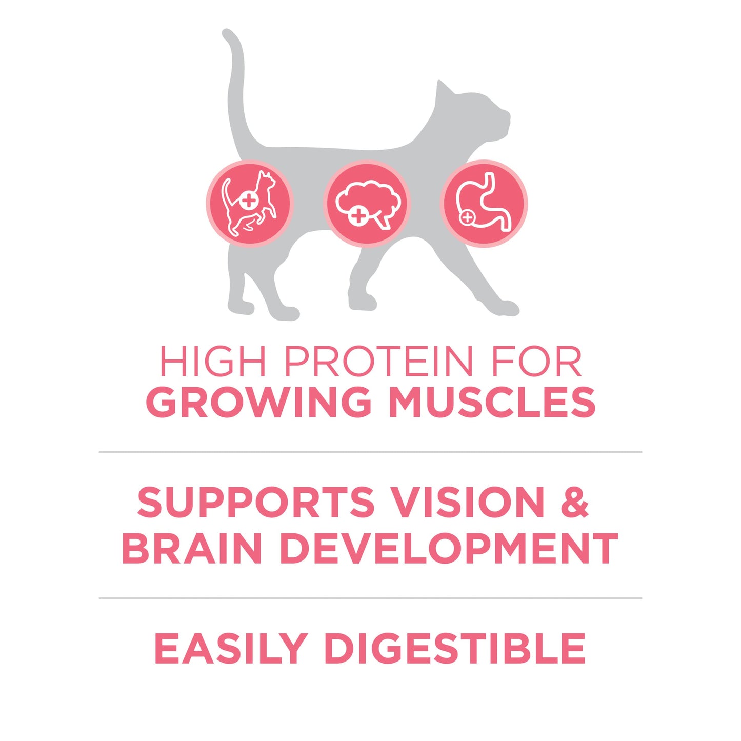 Purina ONE High Protein, Natural Dry Kitten Food, +Plus Healthy Kitten Formula - 7 lb. Bag