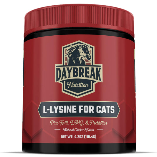 L-Lysine for Cats and Kittens - 900 mg L Lysine Powder for Cats for Immunity & Respiratory Support - Cat Supplement with L-Lysine, Prebiotics, Krill, & DMG for Immune System, Eye Health & Sneezing