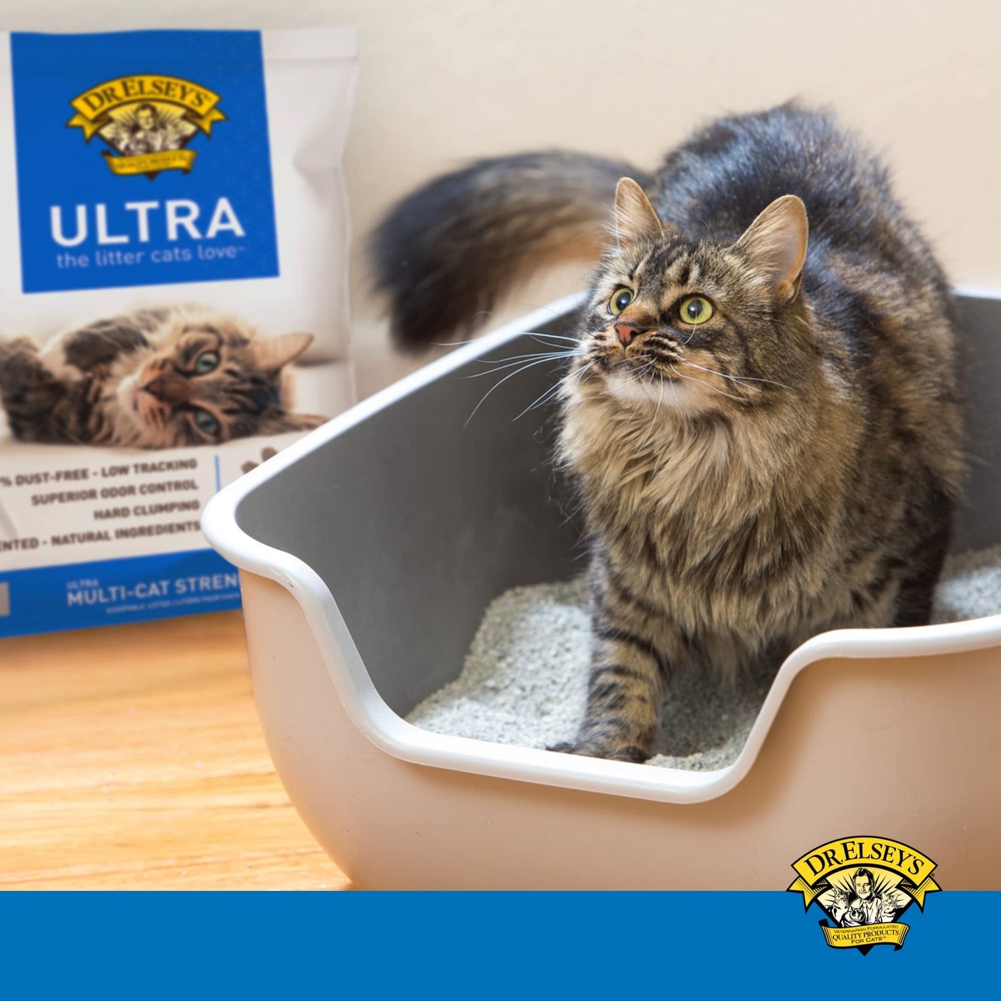 Dr. Elsey's Cat Litter - Premium Unscented Cat Litter w/ Natural Ingredients - Low Dust Superior Odor Control Cat Litter - Hard Clumping Moisture Absorbing Clay Multi Cat Litter (For All Cats - 40lbs)