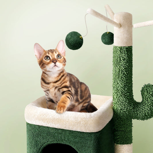 Cactus Cat Climbing Frame Toy Sisal Column