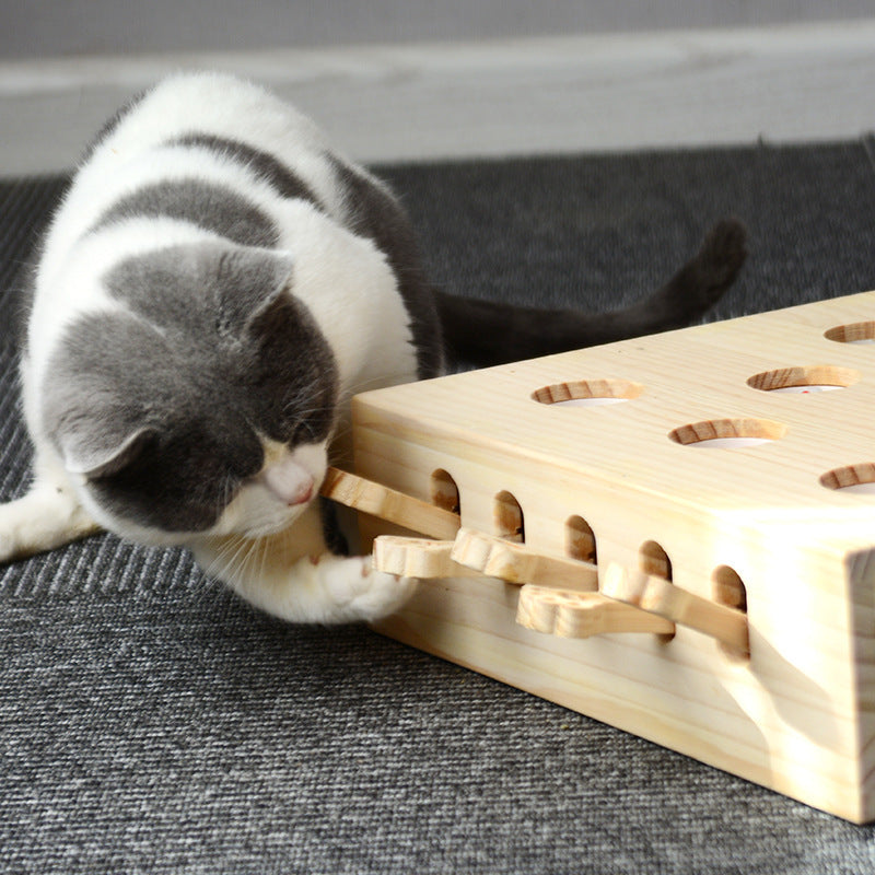 Cat Wood Popup Game Catnip