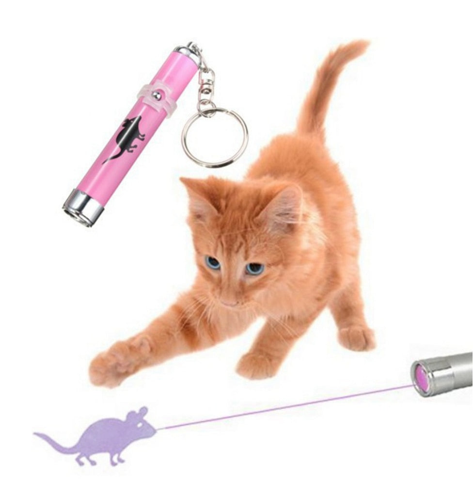 Amazingly Cat Toy Creative and Funny Pet Cat Toys LED Pointer light Pen