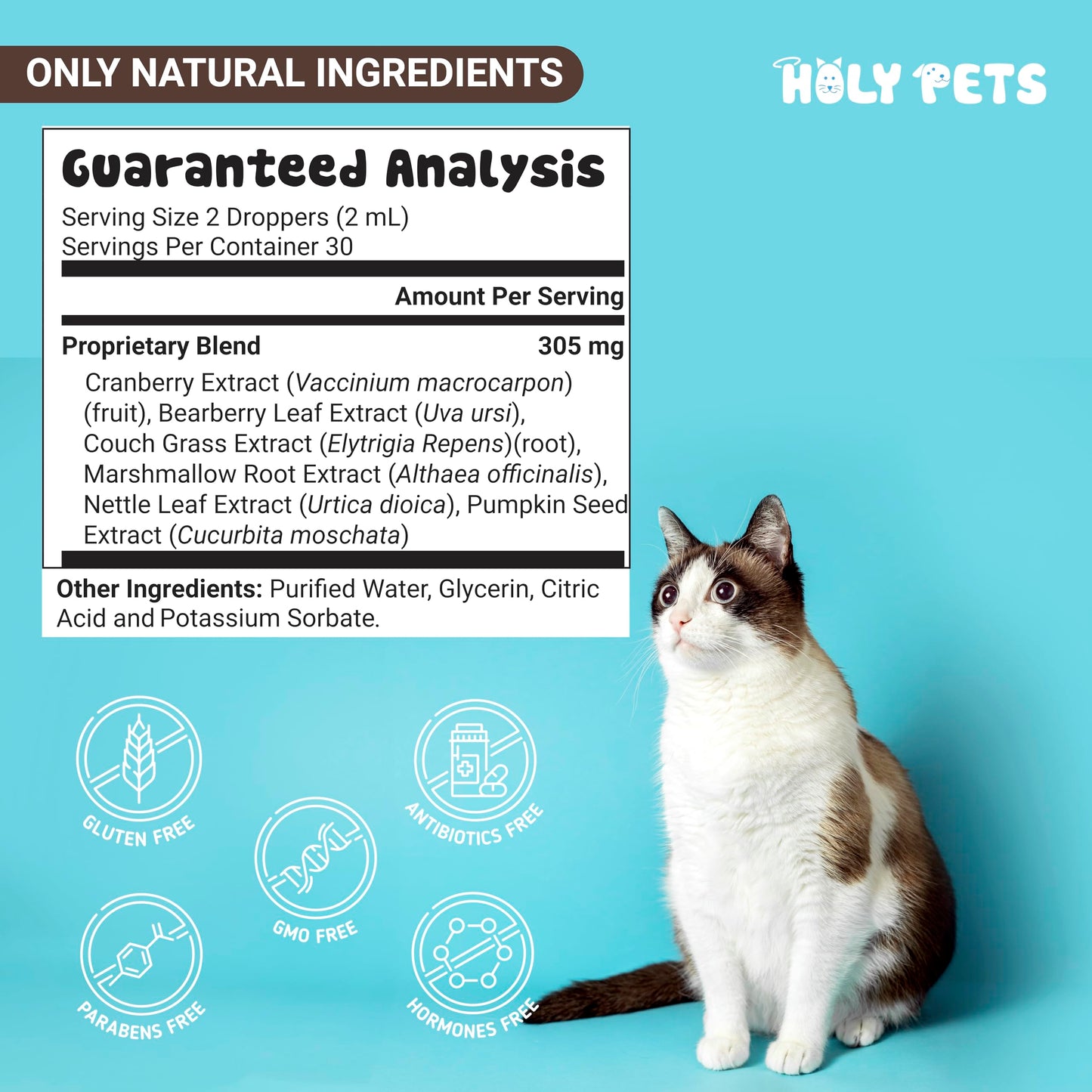 Holy Pets Natural UTI Medicine for Cats & Dogs, Urinary Tract Infection Treatment, Antibiotic Supplement for Pets - Helps with Bladder & Kidney Health, Flow, PH & Overall Function - All Natural