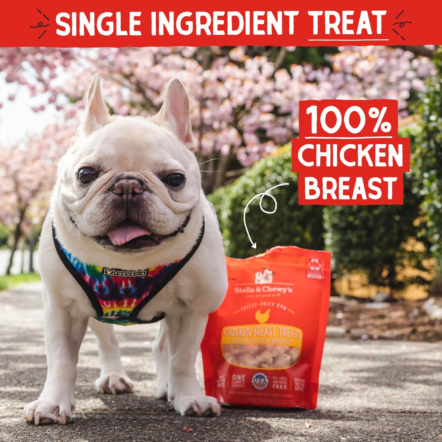 Stella & Chewy's Freeze-Dried Raw Single Ingredient Chicken Breast Treats, 2.75 oz. Bag